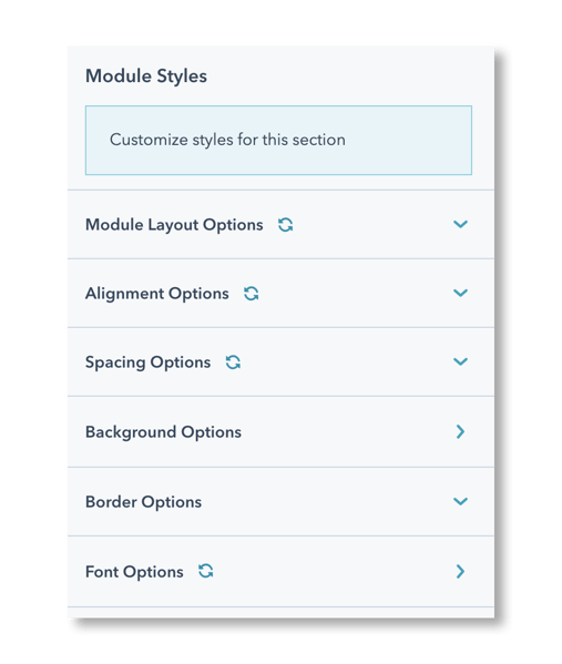 modules--section--options--styles copy